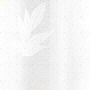 click for more colors