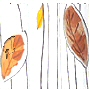 click for more colors