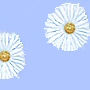 click for more colors