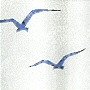 click for more colors