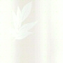 click for more colors