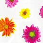 flower peva shower curtain