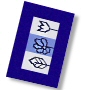 click for more colors